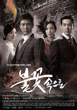 锦州专业seo优化